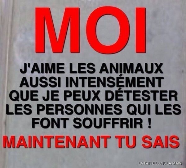 Il est combien de travailler les chats des helminthes
