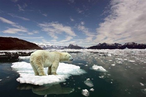 Arctique : les glaces pourraient disparaître dès 2020
