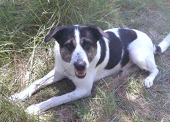 Image du Blog chantouvivelavie.centerblog.net