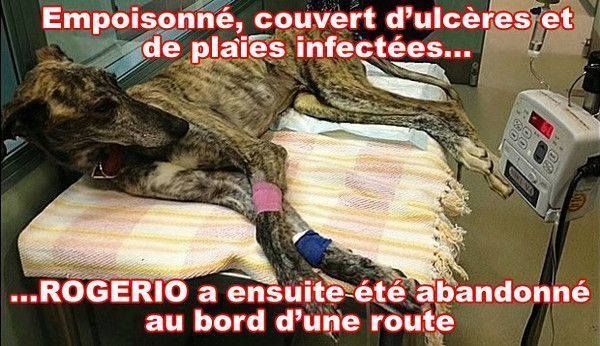 Aide aux femmes divorcées